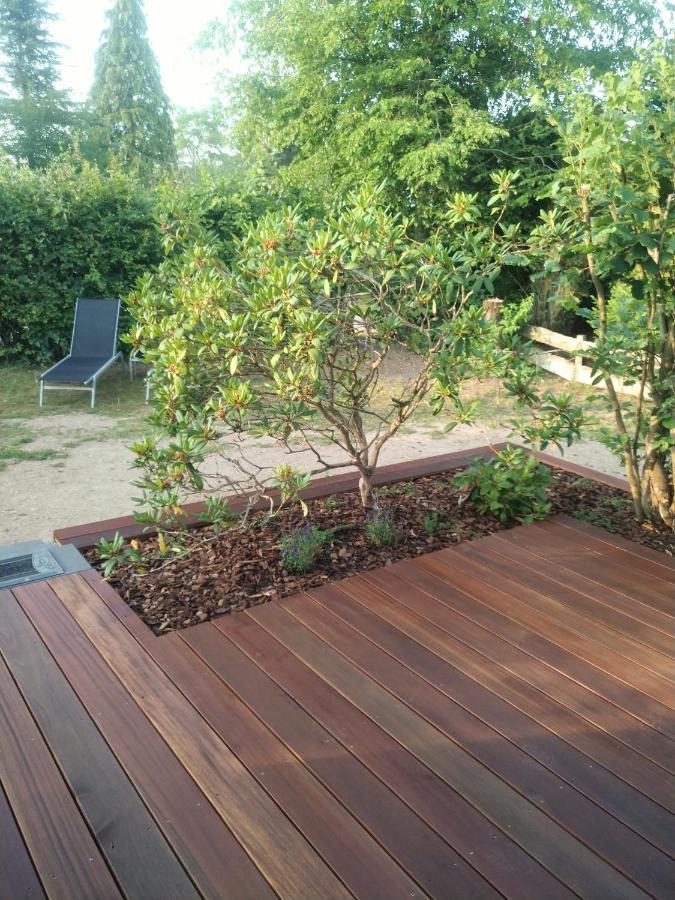 Ferienhaus Freilingen بلانكينهييم المظهر الخارجي الصورة